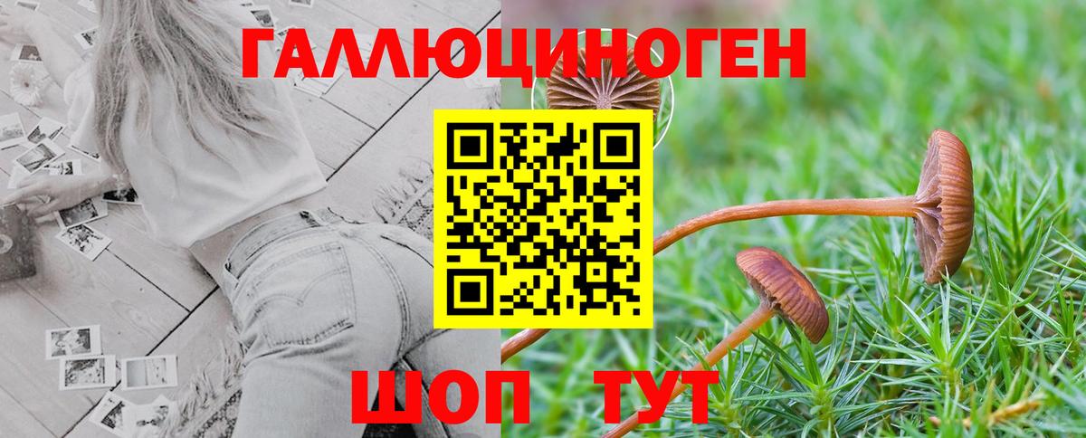 Галлюциногенные грибы мицелий  Псилоцибиновые грибы прущие грибы  Коряжма  Вход с VPN 