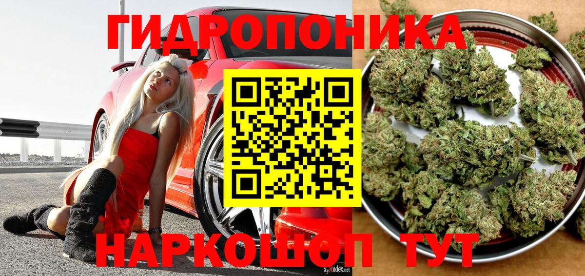 Бошки марихуана индика Коряжма